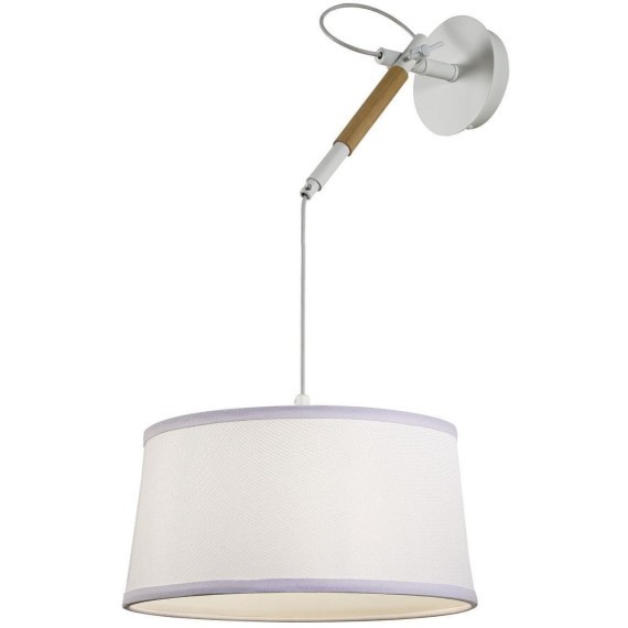 Настенно-потолочный светильник Eureka 3005-1P