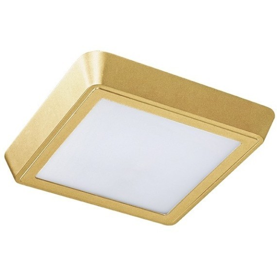 Светильник накладной заливающего света со встроенными светодиодами Urbano Lightstar 216834