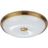 Настенно-потолочный светильник Odeon Light 4956/4 PELOW под лампы 4xE14 4*40W