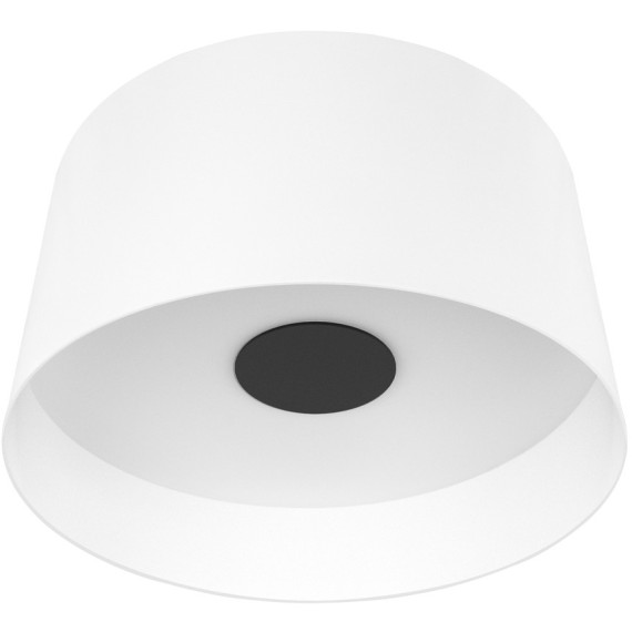 10360L White Потолочный светильник LOFT IT Duo