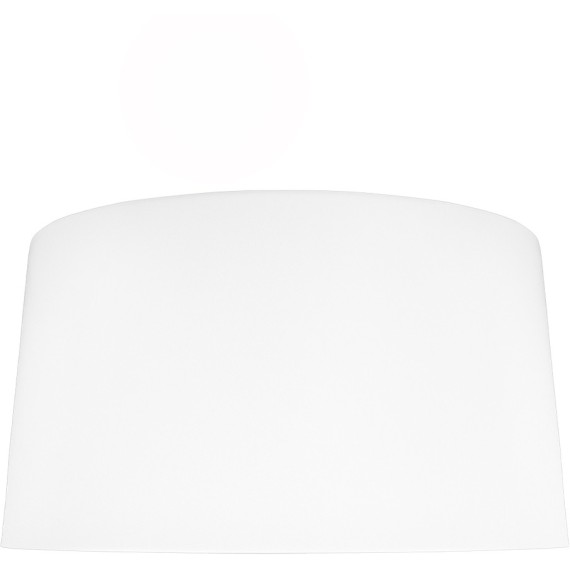 10360L White Потолочный светильник LOFT IT Duo