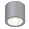 Точечный светильник Deorsum 2808-1C