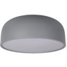 10201/480 Grey Потолочный светильник LOFT IT Axel