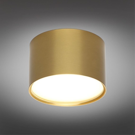 Точечный светильник Salentino OML-100929-06