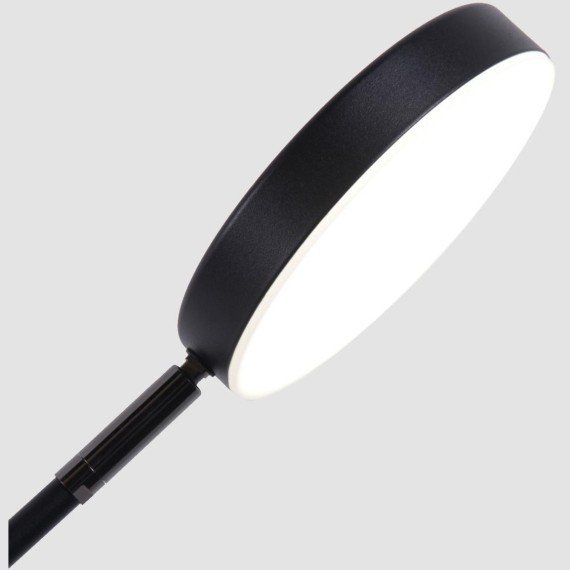 Интерьерная настольная лампа Vorago 4572-1T