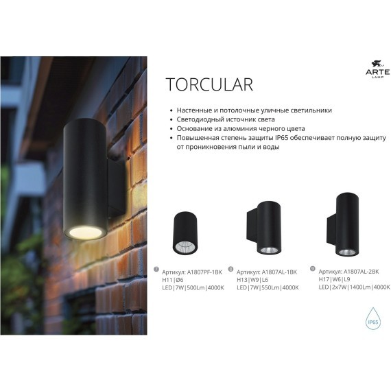 Фасадный светильник LED 2700/3400/4000 750Lm Arte Lamp TORCULAR A1307AL-1BK
