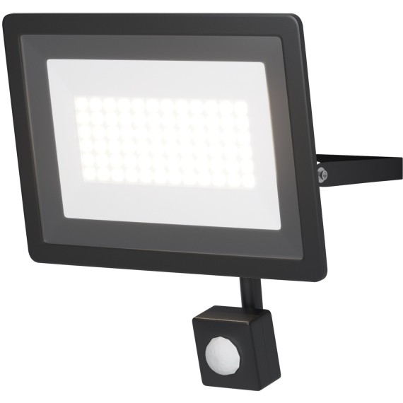 Прожектор Outdoor FL001-L50B6KSR