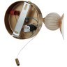 Бра с выключателем LUMION GLORIYA 8272/1W