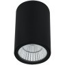 Уличный потолочный светильник LED 2700/3400/4000 650Lm Arte Lamp TORCULAR A1307PF-1BK