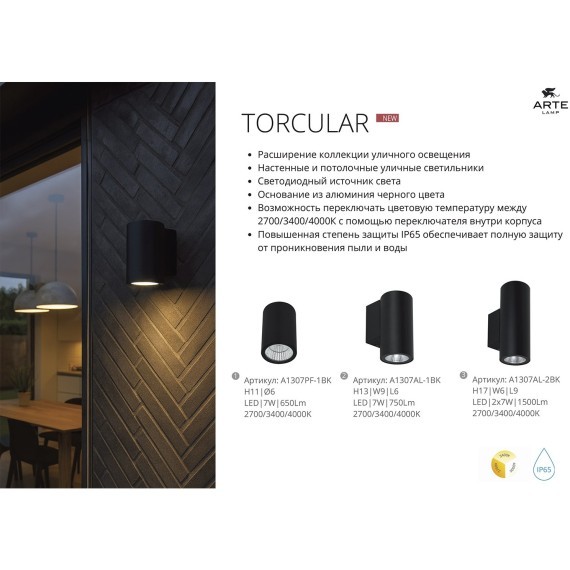 Уличный потолочный светильник LED 2700/3400/4000 650Lm Arte Lamp TORCULAR A1307PF-1BK