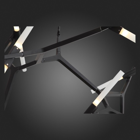 SL947.402.20 Люстра потолочная ST-Luce Черный/Белый G9 20*5W LACONICITA