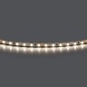 Лента LED 24V 5W 5m/roll 4000K с клейкой лентой Lightstar Lightstar 420544-01