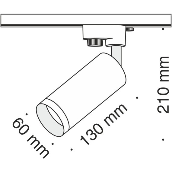 Однофазный двужильный трековый светильник Maytoni Unity TR004-1-GU10-MG Focus под сменную лампу GU10