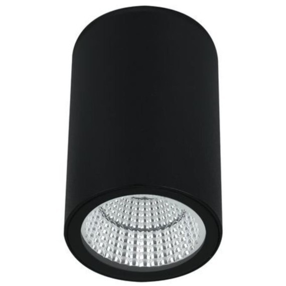 Уличный потолочный светильник Arte Lamp TORCULAR A1807PF-1BK