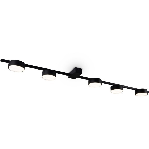 Потолочный светильник Freya FR5363CL-05B