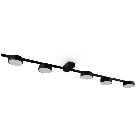 Потолочный светильник Freya FR5363CL-05B