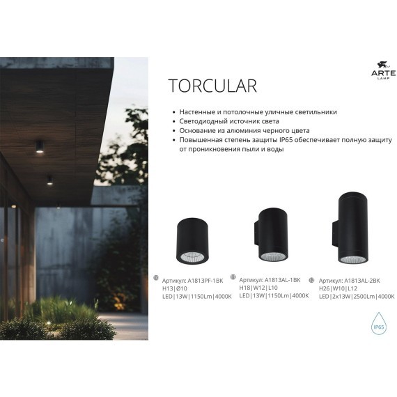 Фасадный светильник LED 2700/3400/4000 2600Lm Arte Lamp TORCULAR A1313AL-2BK