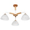 Потолочная люстра Arte Lamp MATTHEW A5032PL-3BR