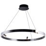 Подвесная черная светодиодная люстра-кольцо 80см 38Вт 914лм 3000К Arte Lamp CESARE A1993SP-38BK