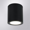 Уличный потолочный светильник LED 2700/3400/4000 1350 Lm Arte Lamp TORCULAR A1313PF-1BK