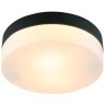 Настенно-потолочный светильник Arte Lamp A6047PL-2BK AQUA-TABLET IP44 под лампы 2xE27 60W