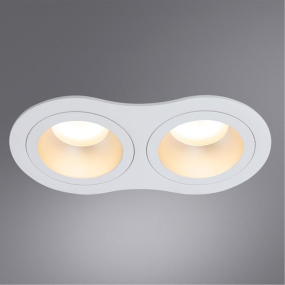 Встраиваемый светильник Arte Lamp A2161PL-2WH ALKES под лампы 2xGU10 50W