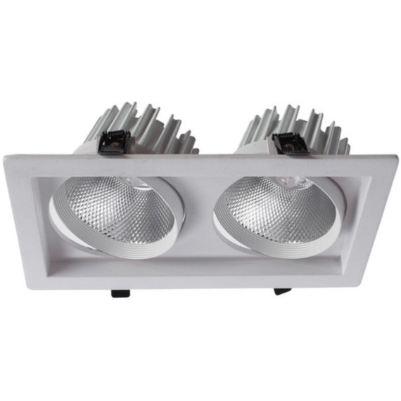 Точечный встраиваемый светильник Arte Lamp PRIVATO A7018PL-2WH