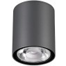 Уличный потолочный светильник Novotech 358011 TUMBLER IP65 светодиодный LED 6W