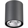 Уличный потолочный светильник Novotech 358011 TUMBLER IP65 светодиодный LED 6W