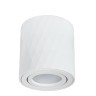 Накладной потолочный светильник Arte Lamp A5559PL-1WH FANG под лампу 1xGU10 50W