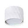 Накладной потолочный светильник Arte Lamp A5552PL-1WH FANG под лампу 1xGX53 15W