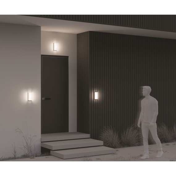 Настенный светильник (бра) Outdoor O454WL-L10GF3K1