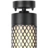 Потолочный светильник уличный Barrel 3019-1P