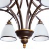 Подвесная люстра Arte Lamp BONITO A9518LM-8BA