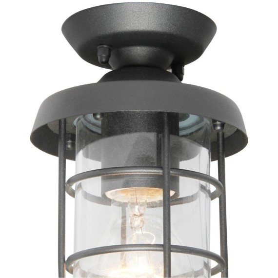 Потолочный светильник уличный Pointer 3021-1P