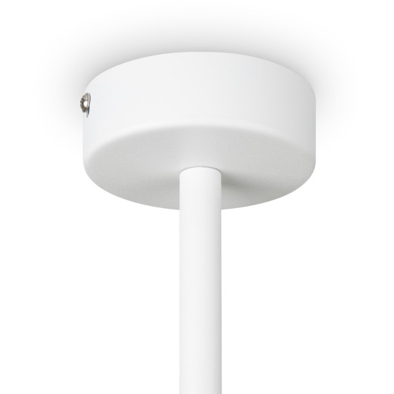 Потолочный светильник Freya FR5363CL-06W