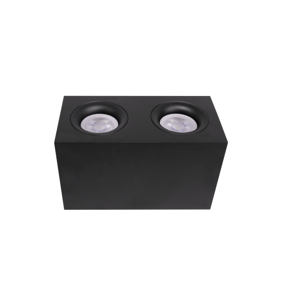 Потолочный светильник Technical C013CL-02B