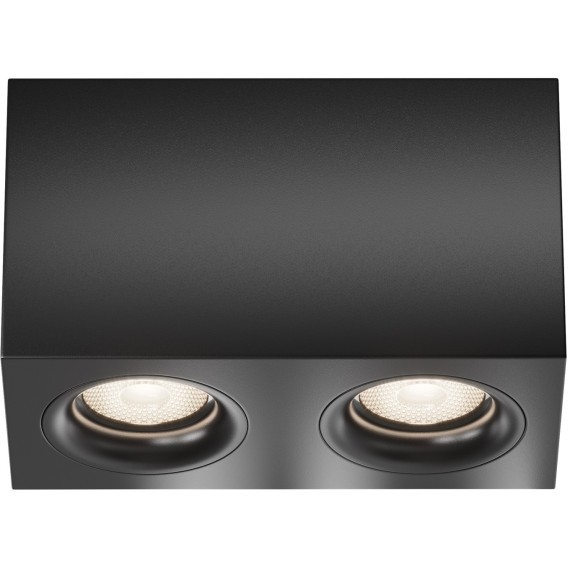 Потолочный светильник Technical C013CL-02B