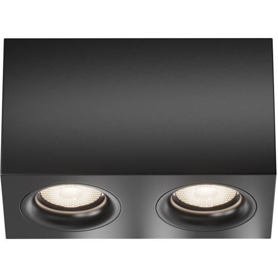 Потолочный светильник Technical C013CL-02B