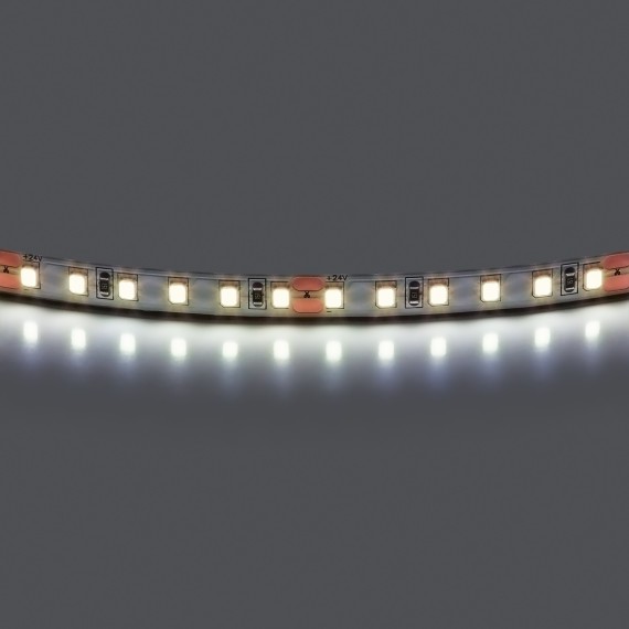 Лента холодного белого свечения 24V Lightstar Lightstar 420805