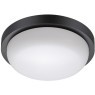 Уличный потолочный светильник Novotech 358017 OPAL IP65 светодиодный LED 18W