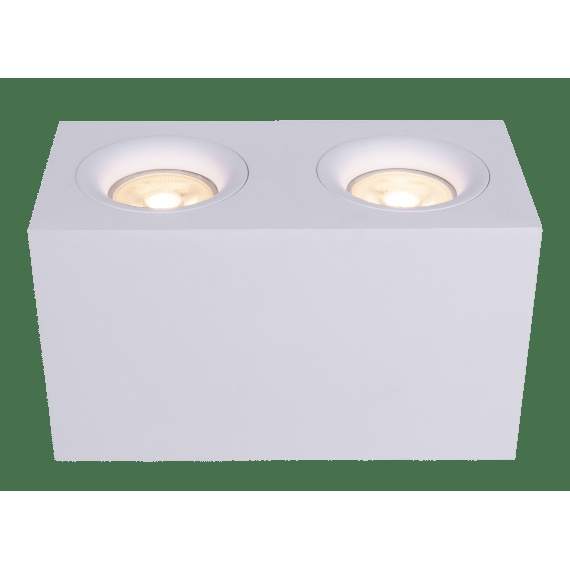 Потолочный светильник Technical C013CL-02W