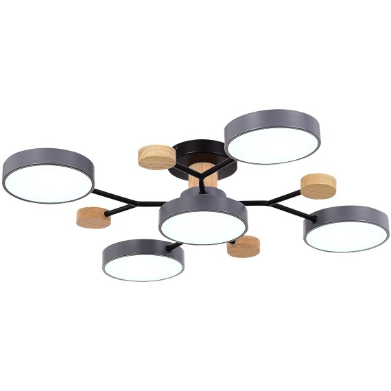 SLE6006-702-05 Светильник потолочный Серый/Серый LED 5*12W 3000K/4500K/6000K FAEMA