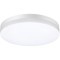 Уличный потолочный светильник Novotech 358889 OPAL IP54 светодиодный LED 40W