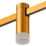 ST812.206.03 Магнитный трековый светильник золотистый LED 3W 3000K 93Lm Ra90 120° FARM