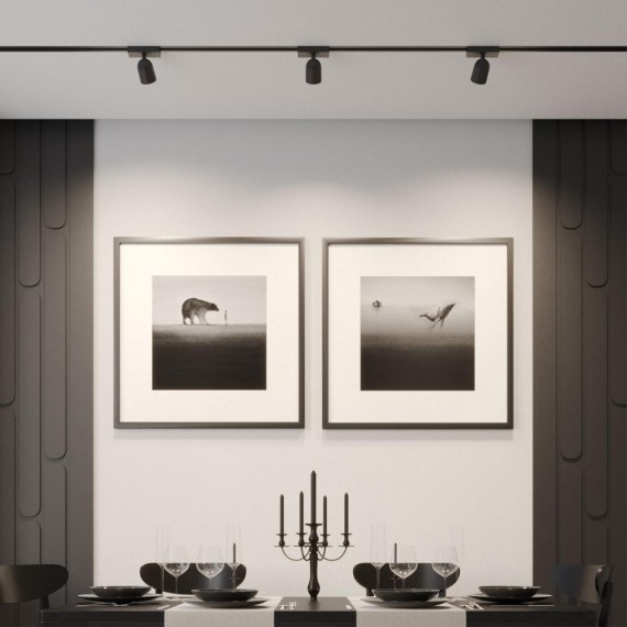 359804 Черный светодиодный однофазный двужильный трековый светильник 10Вт 882Лм 4000К 32° CRI≥90 180-265V IP20 Novotech SOLETTE