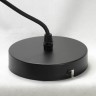 Подвесной светильник с 1 плафоном Lussole LSP-9543 BADGER IP21 под лампу 1xE27 60W