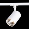 Трековый светодиодный светильник ST Luce BASE ST351.536.30.24