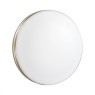 Настенно-потолочный светильник Sonex 3015/AL SMALLI IP43 светодиодный LED 12W