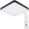 Настенно-потолочный светильник Arte Lamp A2669PL-1BK SCENA светодиодный LED 100W